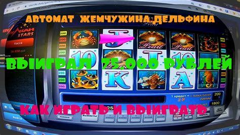 Символы и бонусы игрового автомата Дельфин